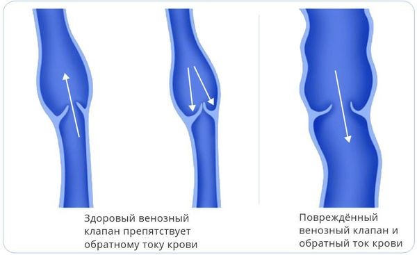 Рисунок3.jpg Рисунок3.jpg