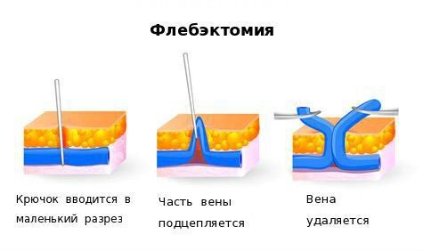 Рисунок11.jpg Рисунок11.jpg